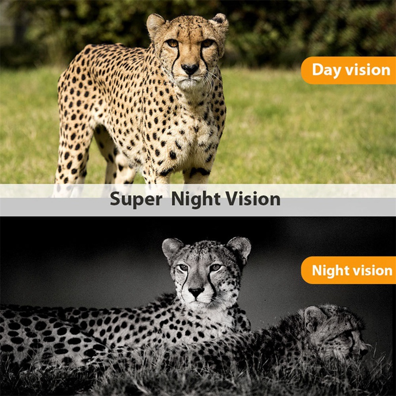 -801A 4K UHD 36MP 4G LTE Night - đánh giá và giá Outdoor Hunting Camera Wireless