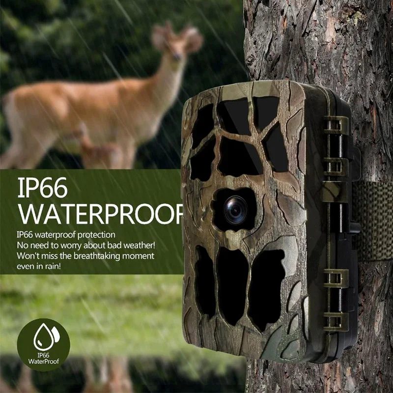 H982 IP66 Chống Thấm Nước 4K H - đánh giá và giá Outdoor Hunting Video Camera
